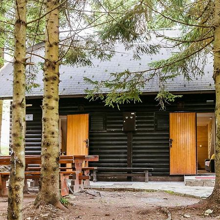 Chalet Liza & Rozi Zgornja Loznica 外观 照片