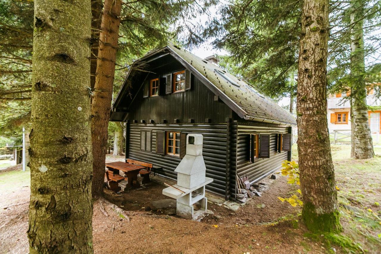 Chalet Liza & Rozi Zgornja Loznica 外观 照片