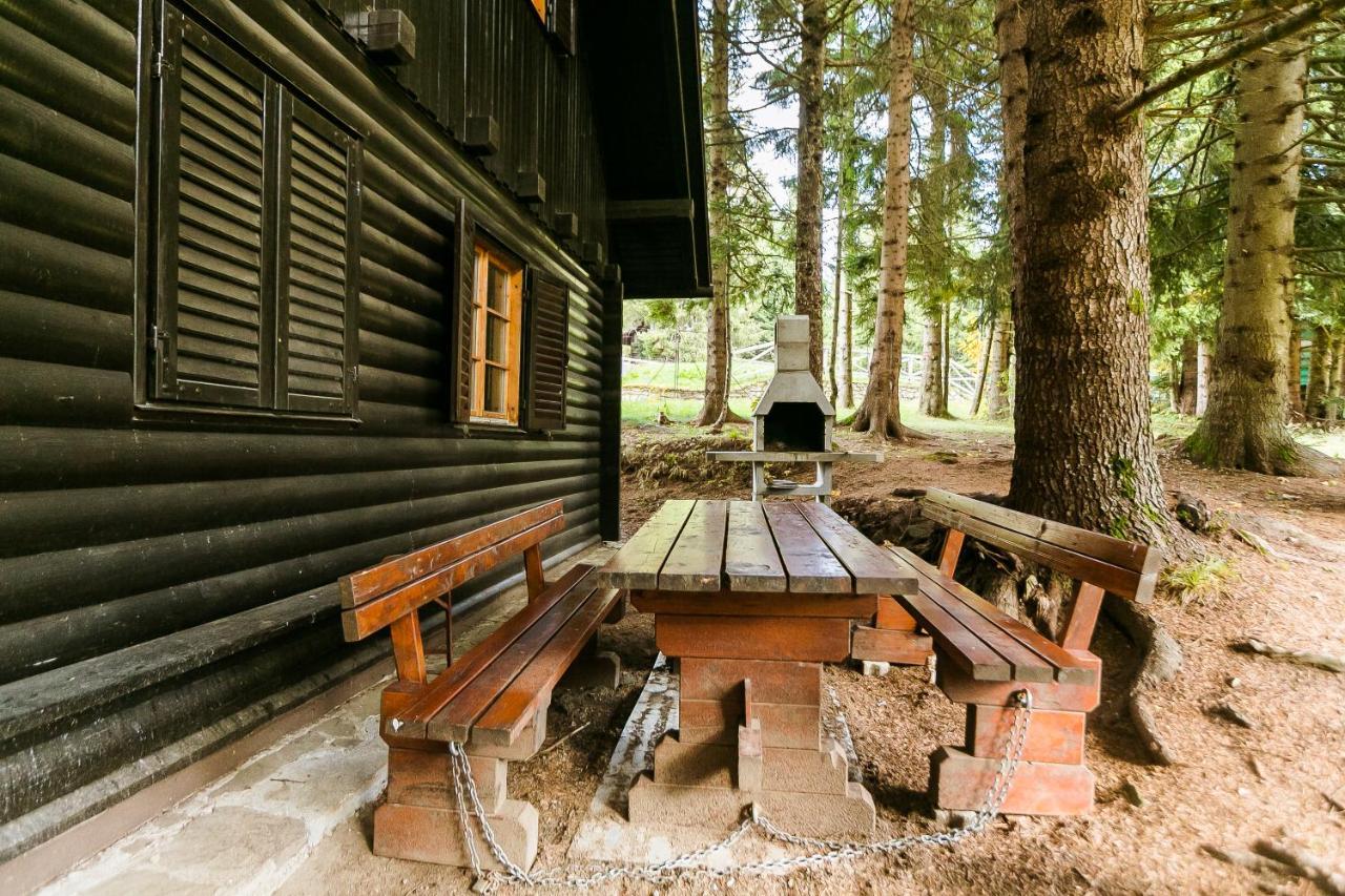 Chalet Liza & Rozi Zgornja Loznica 外观 照片
