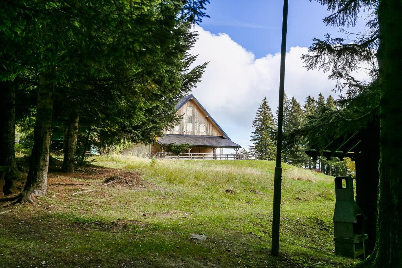 Chalet Liza & Rozi Zgornja Loznica 外观 照片