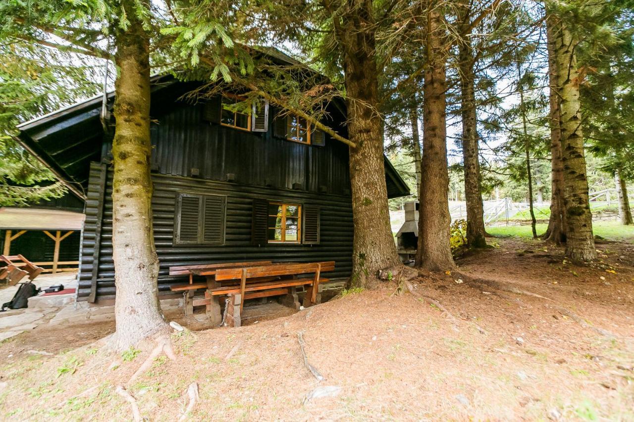 Chalet Liza & Rozi Zgornja Loznica 外观 照片